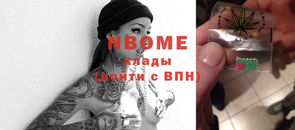 прущие грибы Саяногорск