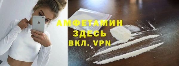 прущие грибы Саяногорск