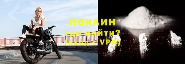 прущие грибы Саяногорск