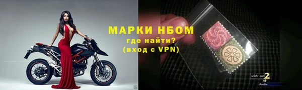 прущие грибы Саяногорск