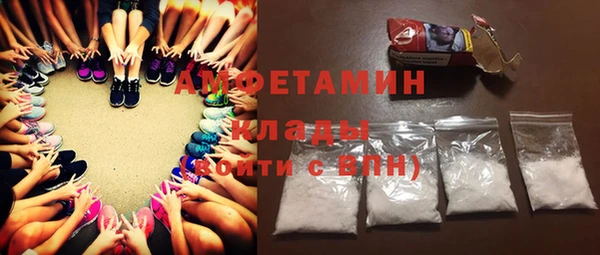 прущие грибы Саяногорск