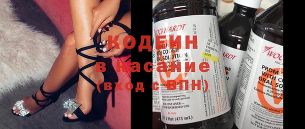 прущие грибы Саяногорск