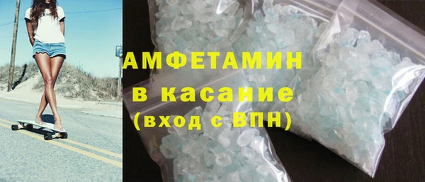 прущие грибы Саяногорск