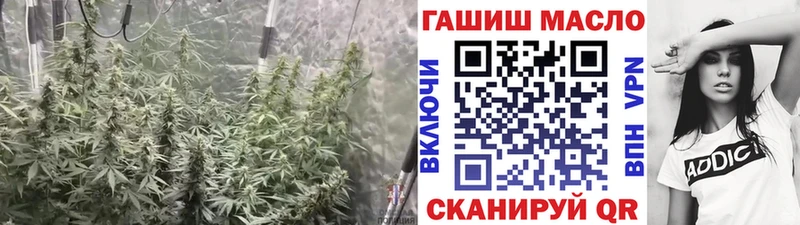 МЕГА вход  Бежецк  Дистиллят ТГК Wax 