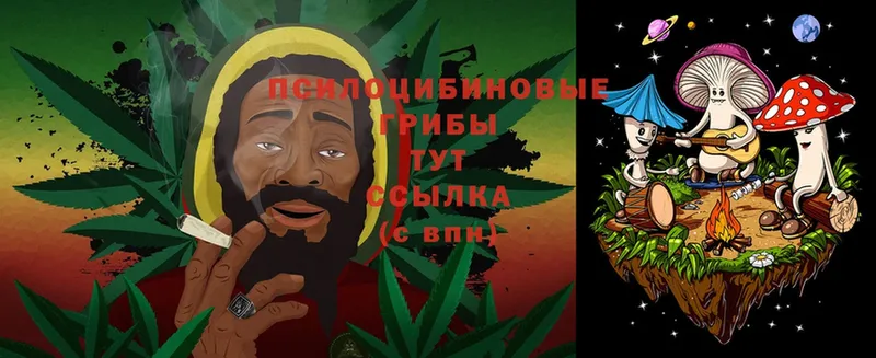 МЕГА ТОР  Бежецк  Галлюциногенные грибы мухоморы 