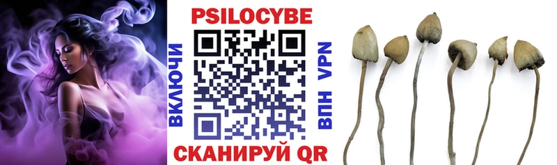 Псилоцибиновые грибы MAGIC MUSHROOMS  где можно купить   ссылка на мегу ссылка  Бежецк 